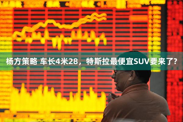 杨方策略 车长4米28，特斯拉最便宜SUV要来了?
