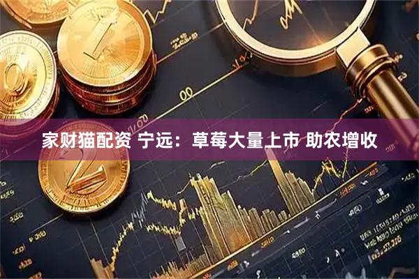家财猫配资 宁远：草莓大量上市 助农增收